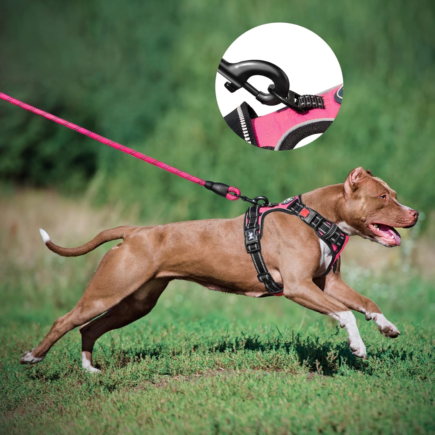 Dog Harness and Leash Combo, Escape Proof No Pull Vest Harness, with 5 Feet Leash, Reflective Adjustable Soft Padded Pet Harness with Handle for Small to Large Dogs(Pink,M)